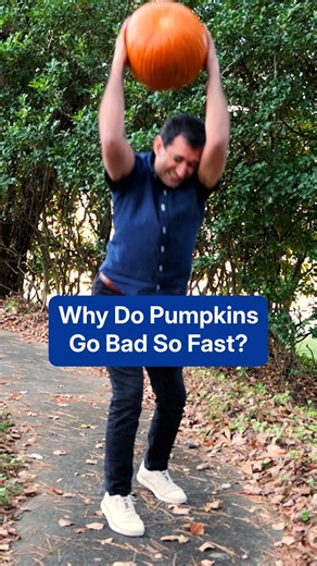 Despite all his rage, Rob’s still just a met with a page - a page dedicated to bringing you the best weather insights around! 💥🎃💥 | The Weather Channel