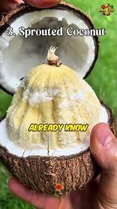 The Last Fruit Will SHOCK You 🤯 | Rarest Fruits on Earth You’ve Never Seen Before! #fruit #foodtok