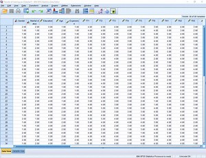 1.6K views · 61 reactions | How to use SPSS for Descriptive Statistics and frequencies: You may watch more Data analysis tutorials on our you tube channel: https://www.youtube.com/channel/UCxG-sY5iWhdNOb1pccK_pzQ | Research & Analysis | Facebook