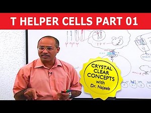 T Helper Cells | Immunology | Part 1/10