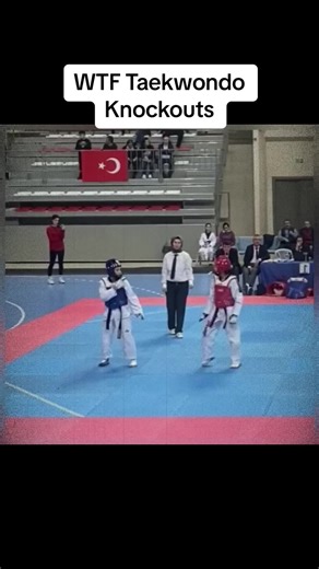 Exciting Taekwondo Knockouts Compilation