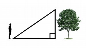 MEASURING TREE HEIGHT -- MDC videographer Kevin Muenks shares an easy method to determine the approximate height of any tree using simple tools including a yardstick and tape measure. This method works well at any site that is level. | Missouri Dept. of Conservation