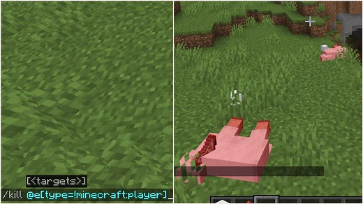 How to kill all entities in Minecraft