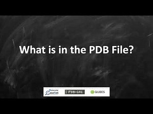 What is in the PDB File?