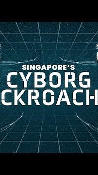 Cyborg cockroaches to be deployed in future search and rescue missions