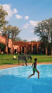 19K views · 232 reactions | Exciting News We've been nominated for the Tourism Excellence Awards 2025! Help us bring home the titles for Best Hotel and Best Customer Service by casting your vote today. ️ Vote here: https://forms.gle/pZwkfCH3sMnZ98v67 | Avani Victoria Falls Resort | Facebook