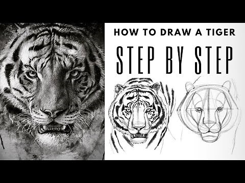 EASY Step by Step Guide for Drawing a Realistic Tiger