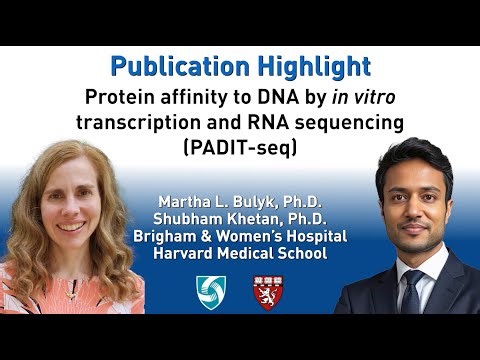 PADIT-seq: Protein affinity to DNA by in vitro transcription and RNA sequencing