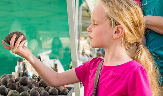 How to Pick an Avocado