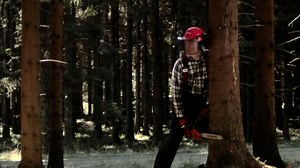 How to Cut a Large Log With a Small Chainsaw – Complete Guide | BackyardGadget