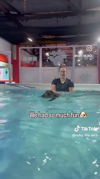 Ruby’s first swim😂 We visited @redroverdogdaycare pool toda! We were so impressed by how clean and nice it was. Ruby was so unsure st the beginning and kept trying to climb over us but she got it eventually! We had so much fun and also used the dog spa afterwards to get her all cleaned and pampered 🥰 would highly recommend! #wcs #redroverdogdaycare #workingcockerspaniel #workingcockerspanielsofinstagram #redcocker #cockerspaniel #dogswim #dogswimmingpool #spaniel #spanielworld @Red Rover