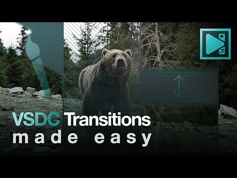 VSDC Transitions Made Easy: A Comprehensive Tutorial