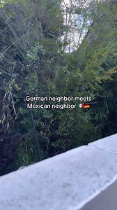 395K views · 7.1K reactions | Shadow tax now!  #germankaren #german #mexico #us #neighbors #comedy #viral | Anuschka van Lent | Facebook