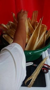 129K views · 1.3K reactions | @ como se origino el chuchito en Guatemala | Neto 4:20 999// official | Facebook