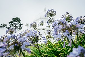 31 Places to Visit in the Bay Area (The Complete Guide)