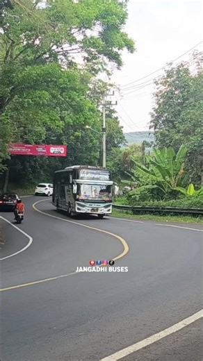 winspector qq trans #teloletbasuri #automobile #mobilbasuri