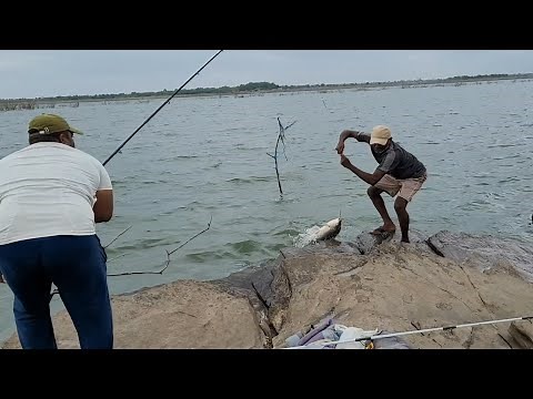 Incredible Big fish Hunting & Catching by Professional Fisherman|Unbelievable hook fishing video