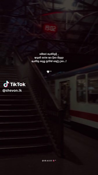 Exploring Trading Strategies for Beginners