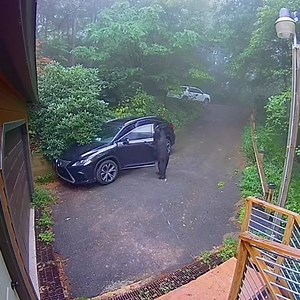 If a bear gets in a car, does he go for a drive? #Animals #Bear | Animalistic