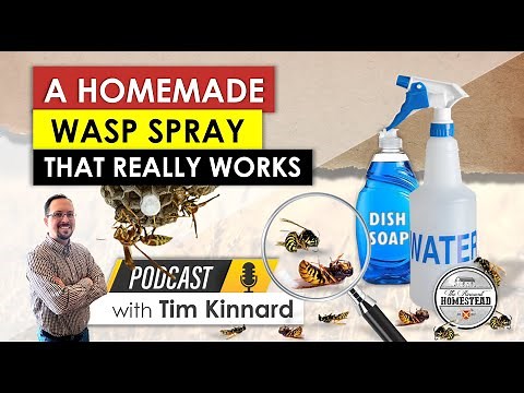 A Homemade Wasp Spray that Really Works | DIY Wasp Killer