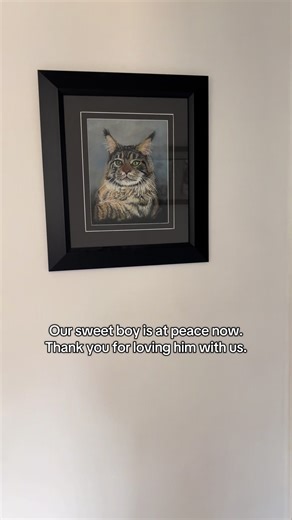 Coping with the Loss of a Beloved Cat