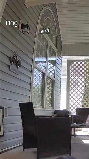 When your dog knows your voice, even through the Ring Doorbell 🥹🐶