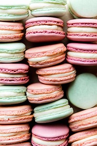 Beginner's Guide to French Macarons - Sally's Baking