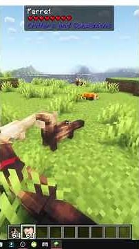 HOW TO TAME FERRETS in MINECRAFT with Critters and Companions