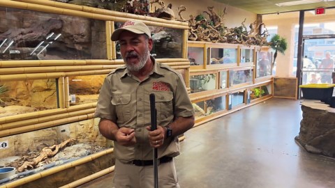 VENOMOUS SNAKE UNBOXING!!