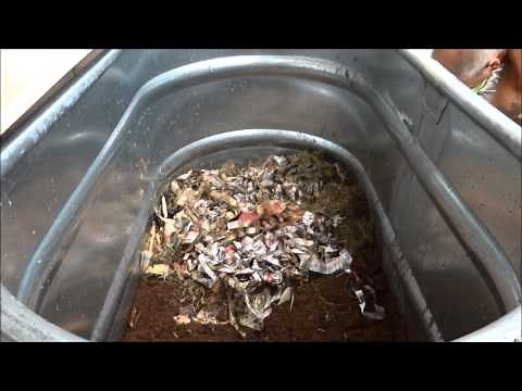 Worm Composting - How to create your own Worm Bin
