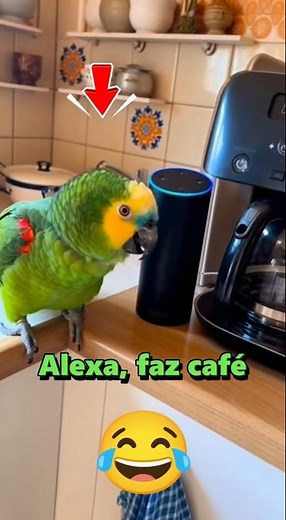 Alexa can't stand that parrot anymore 😂🦜