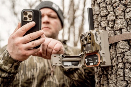 The Best Trail Cams for Spotting Wildlife
