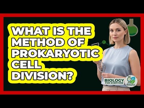 What Is The Method Of Prokaryotic Cell Division?