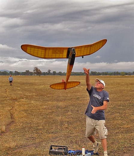 what is free flight? - National Free Flight Society