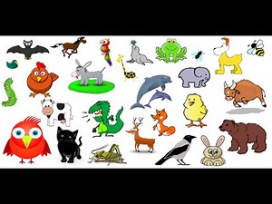 Animal Sounds - over 50 animals noises!