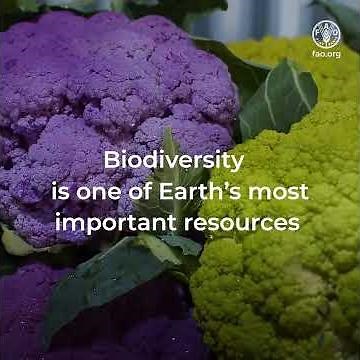 Biodiversity is one of Earth's most important resources
