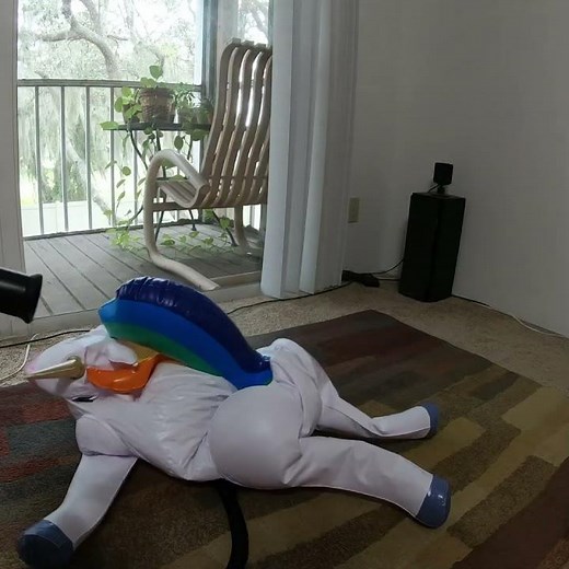 Overinflating a Blow Up Toy Unicorn