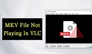7 Ways To Fix “MKV File Not Playing In VLC” Issue
