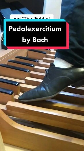 Bach Organ Pedal Exercises and Techniques