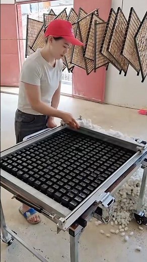 Silkworm Cocoon Sorting and Processing Machine #satisfying ‪@MNSmartTech‬