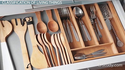 Subspecies | Definition & Examples