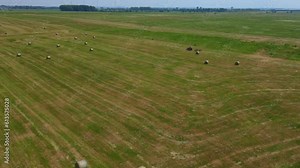 Livestock feeding Tractor using hay tedder for speedy drying of fresh mown grass in large agricultural field. Work in agronomic farm for making business and production organic eco bio animal feed