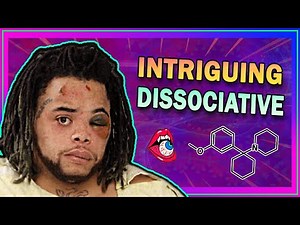 The Dark Side of 𝟯-𝗠𝗲𝗢-𝗣𝗖𝗣: A Dissociative Hallucinogen