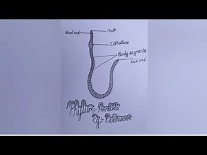 How to Draw "Earthworm" pencil drawing step by step