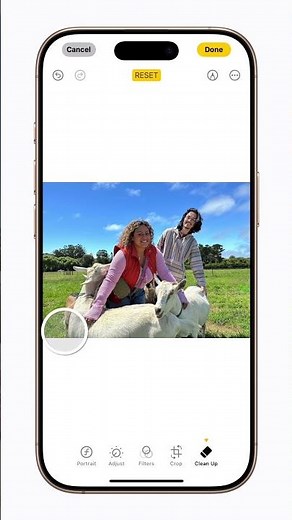 How to use Clean Up in Photos on iPhone, iPad, or Mac | Apple Support
