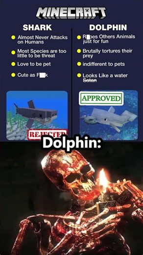 The Dark Truth About Dolphin 🐬💀