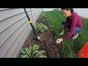 How I fix the edge of a flower bed