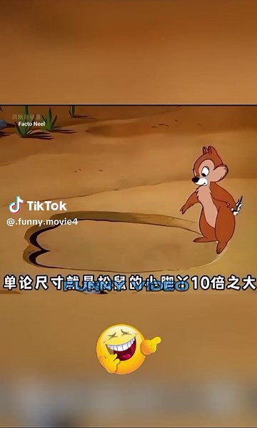 Funny Video Compilation That Will Make You Laugh