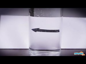 Refraction of Light in Water - Cool Science Experiment for Kids | Kids Education by Mocomi