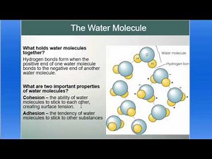 Oceanography Chapter 6 Lecture